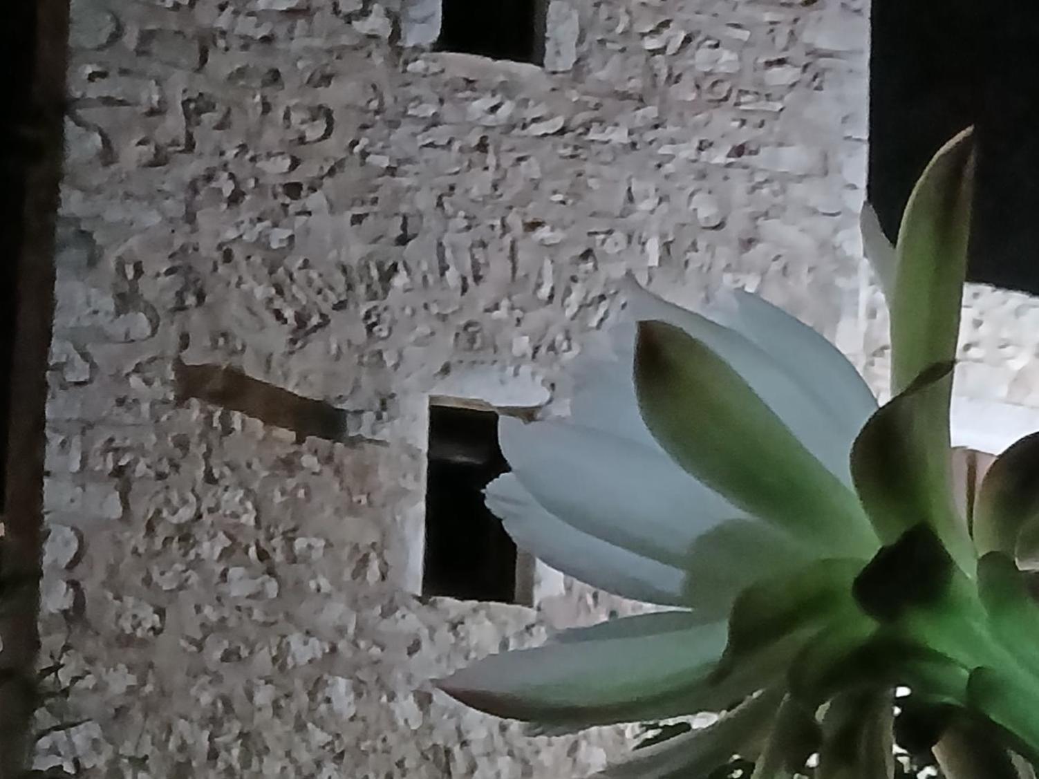 Pandera Areopoli Apartment Ngoại thất bức ảnh